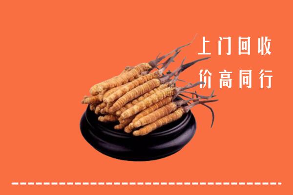高价求购：孝感市安陆市回收散虫草