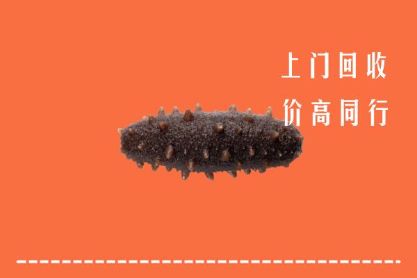 高价求购：孝感市安陆市回收海参